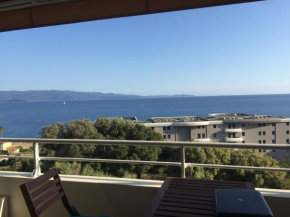 Appartement T3 classé 3 étoiles vue mer avec terrasse ,plage 2 minutes à pied